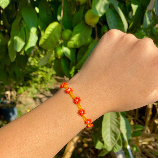 Orange & Yellow Daisy