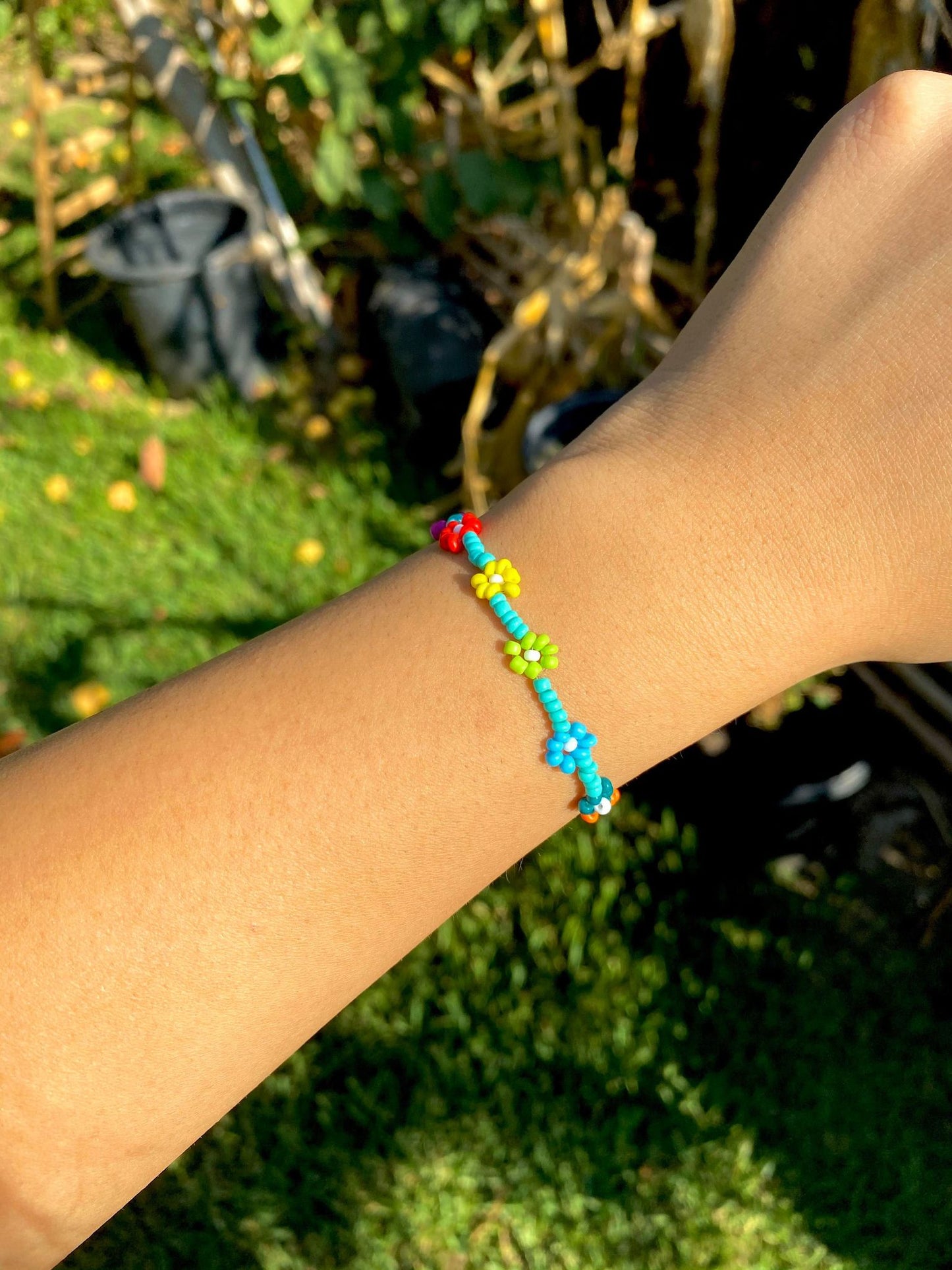 Green & Combined Colors Daisy