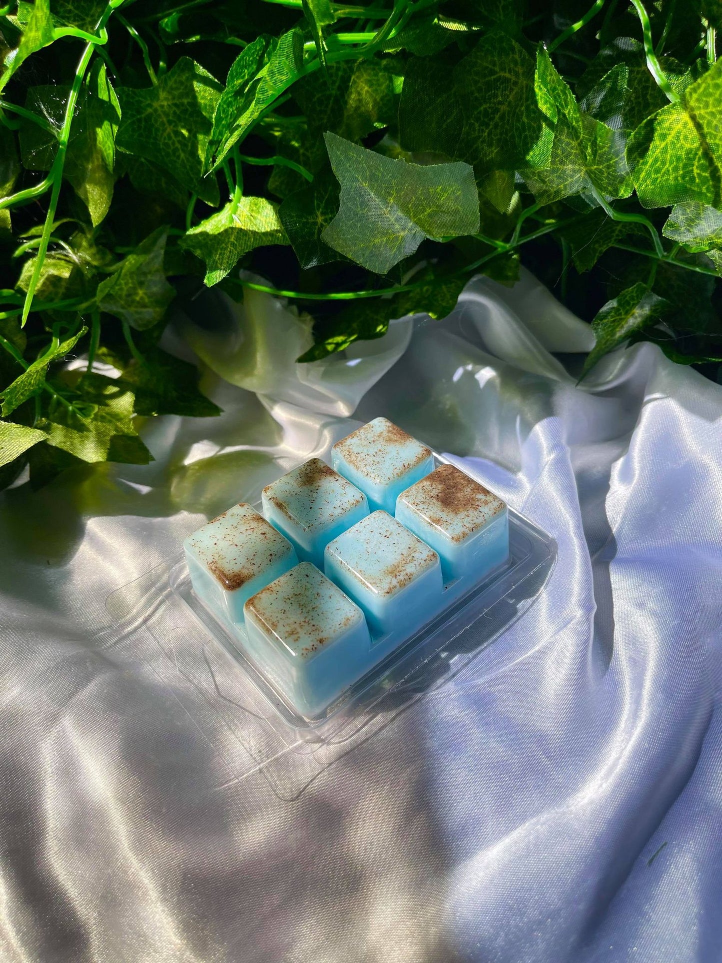 Coconut & Santal Wax Melt