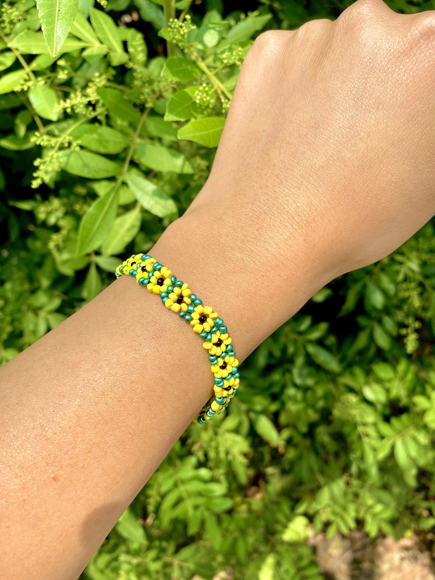 Sunflower (solid) Daisy