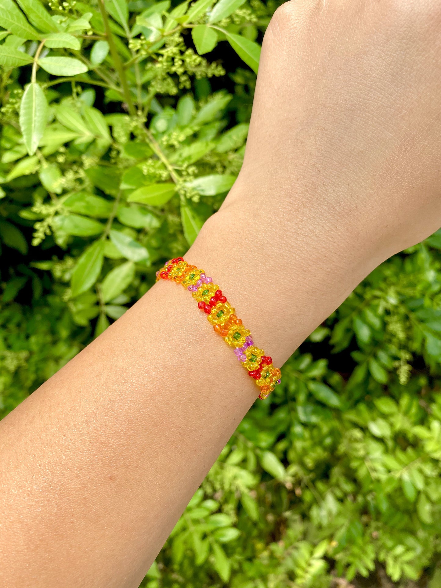 Multicolor Transparent Daisy