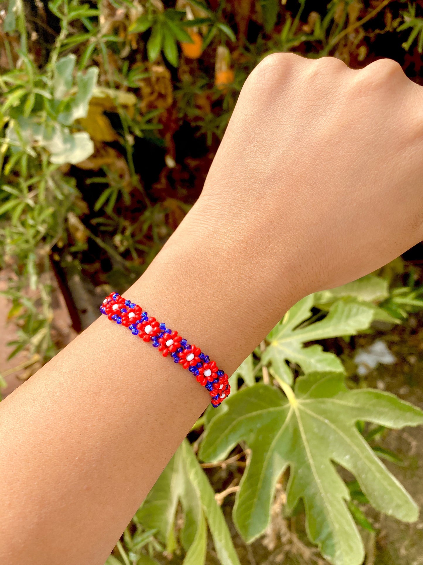 Dominican Republic Daisy